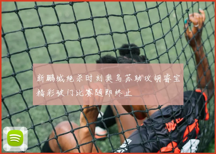新鹏城绝杀时刻奥乌苏助攻胡睿宝精彩破门比赛随即终止